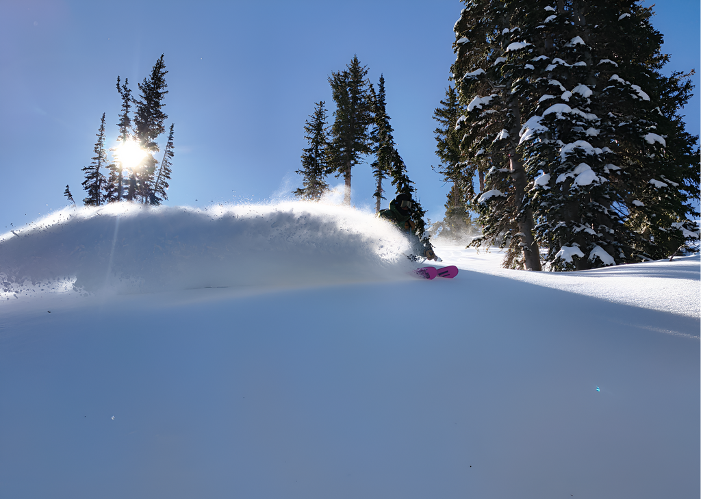 Liberty Genome skis product detail 7