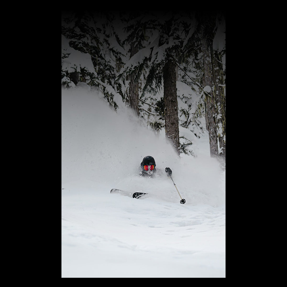 Tyrolia Protector+ Attack 14 GW — skier riding through deep powder